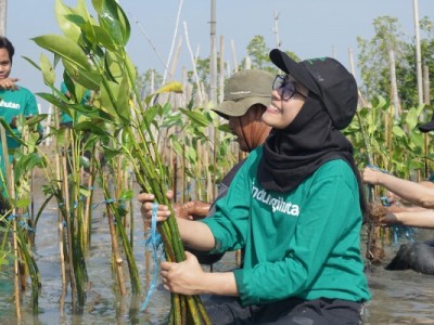 Program Mangrove Capital LindungiHutan, Bantu Perusahaan Anda Mewujudkan Sustainable Finance